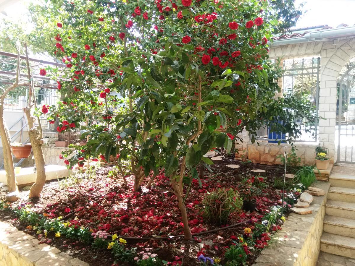 Apartments Villa Mavero Banjole Dış mekan fotoğraf